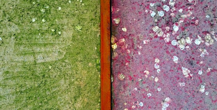 InformalismoVerdeRailRosa