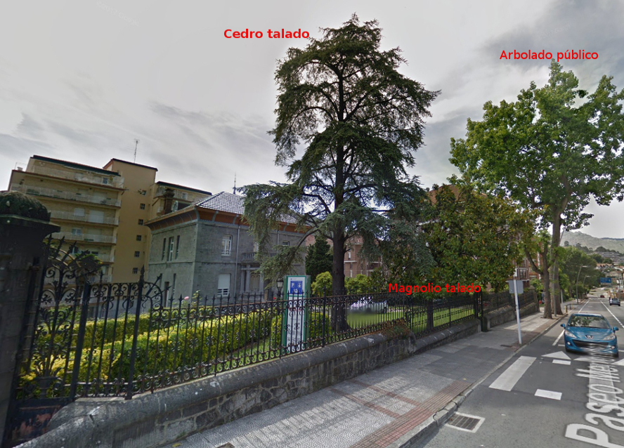 CasaGramaAntes_googleMaps2_cedro_magnolio