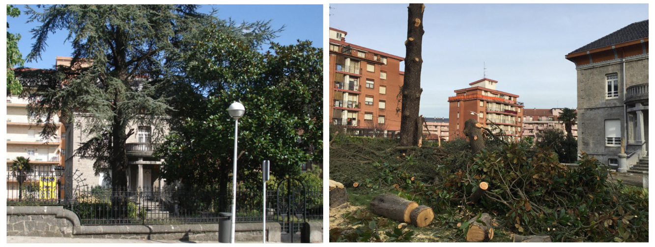 FotosAntesyCorta_reduc