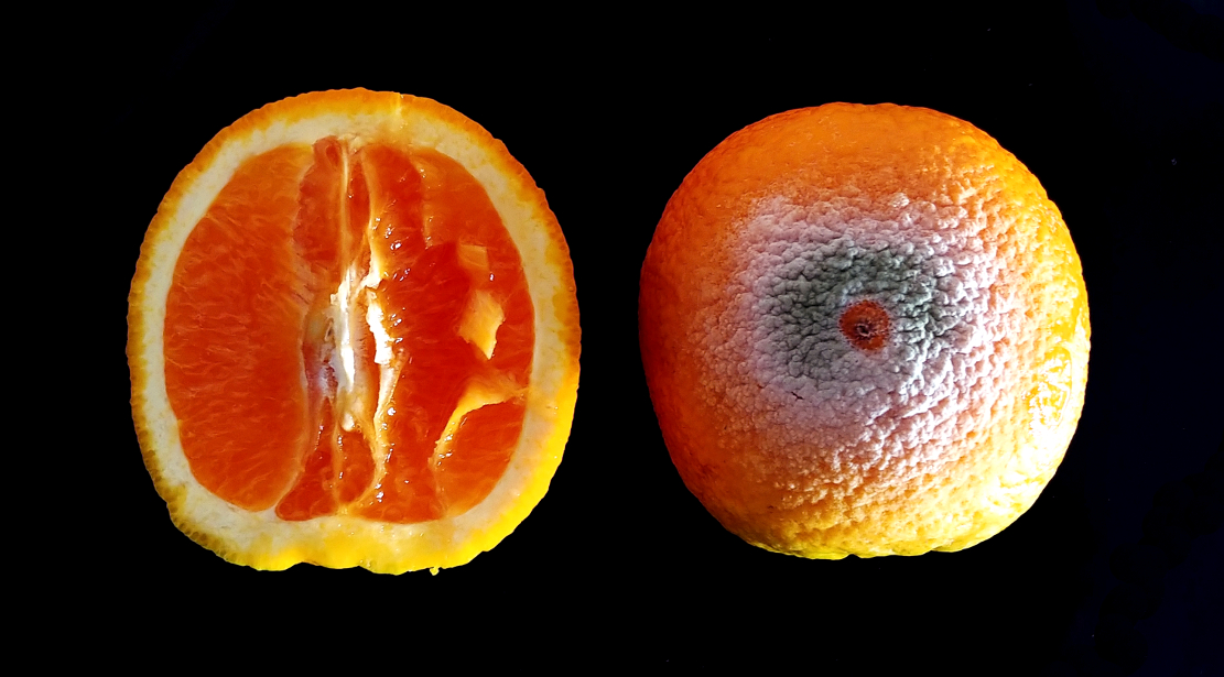 Medias naranjas_reduc